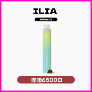 ILIA BAR4哩啞四代一次性抛棄式電子煙 6500口【23種口味】