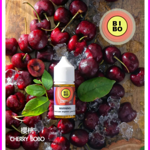 BIBO經典系列電子煙主機小煙油30ML